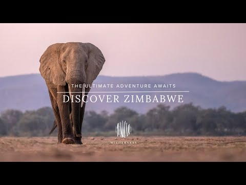 Discover Zimbabwe: The Ultimate Adventure Awaits
