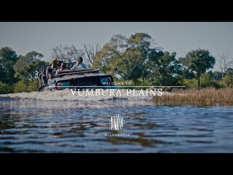 Wilderness Vumbura Plains: The Ultimate Delta Safari