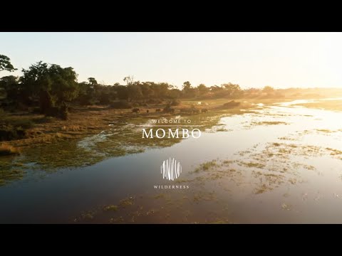 Wilderness Mombo - The Place Of Plenty