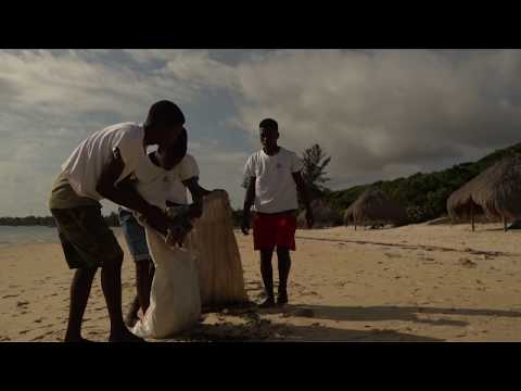 Bahia Mar Plastic Free