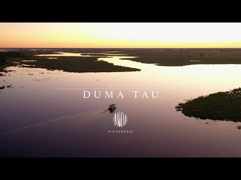 Wilderness DumaTau – Kingdom of Elephants