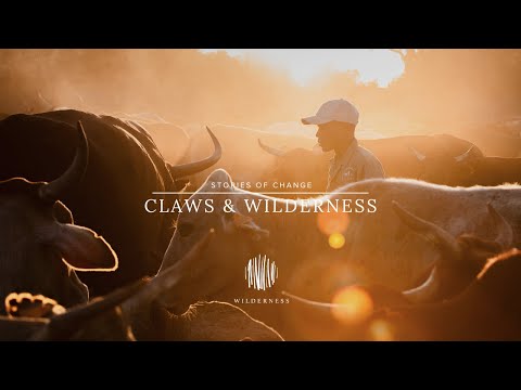 Stories Of Change: CLAWS & Wilderness