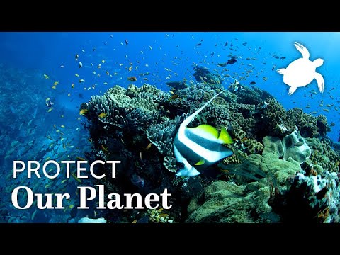 Oceans Without Borders