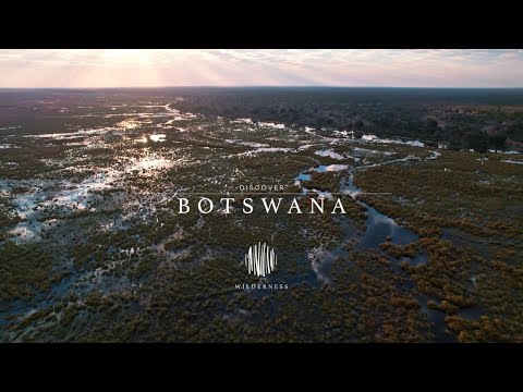 Discover Botswana: A Wildlife Haven