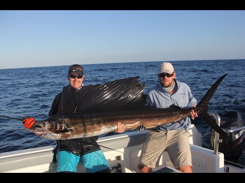 Activites at Colina Verde