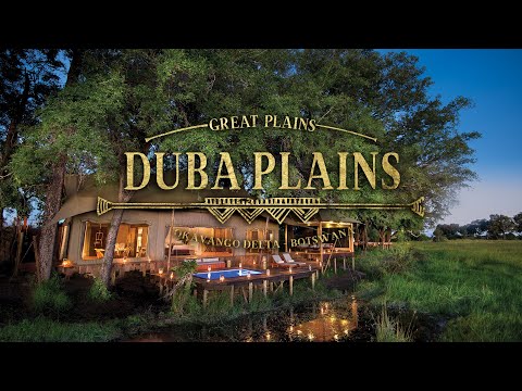 Duba Plains Camp