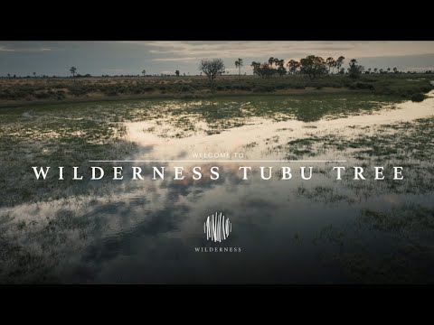Wilderness Tubu & Little Tubu: An Okavango Island Beyond Imagination