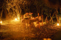Bush Dinner gallery image 1