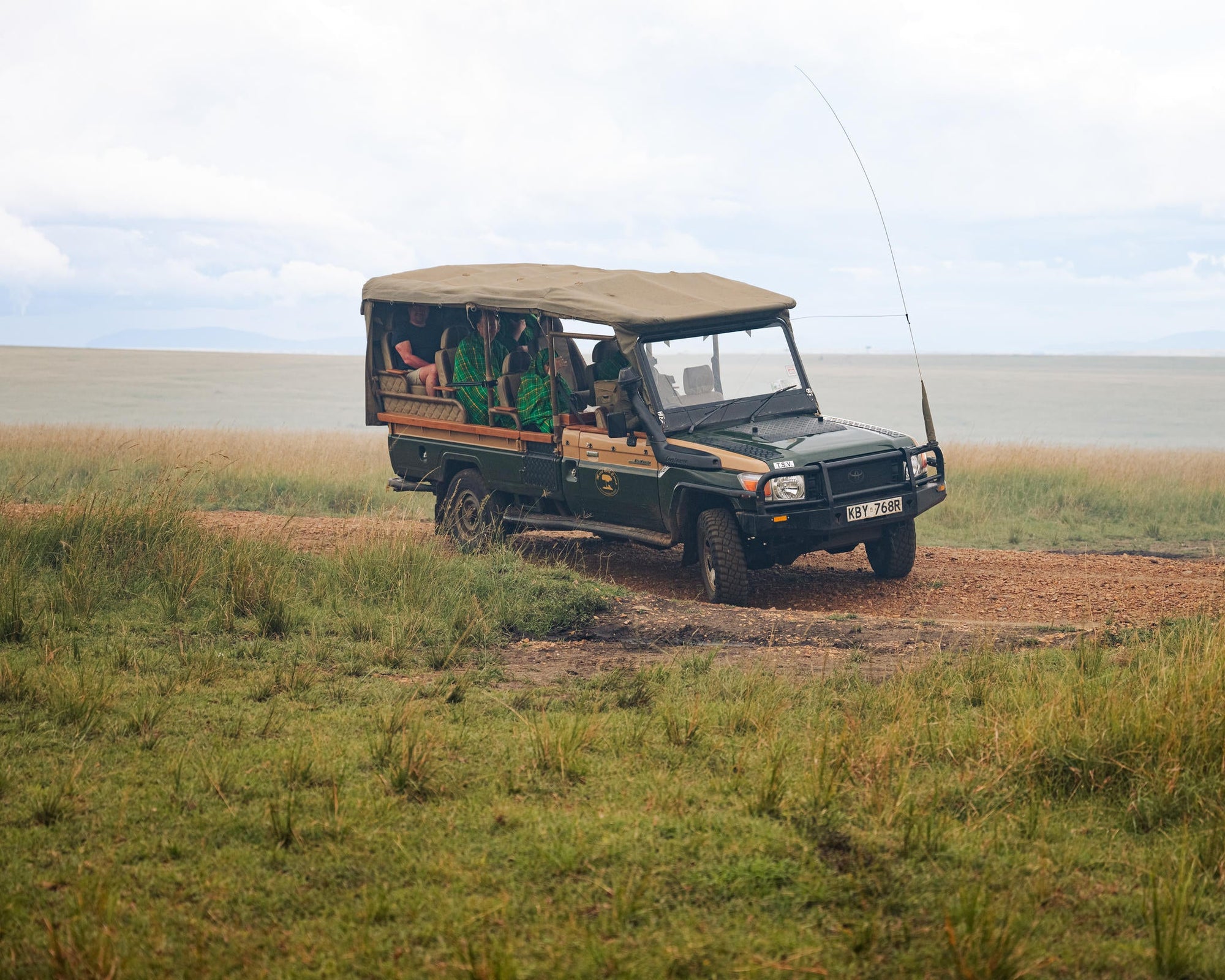 The Game Drive Experience gallery image 2