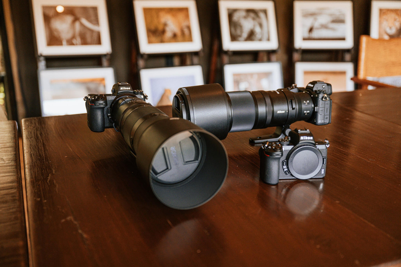 Professional Photography Studio