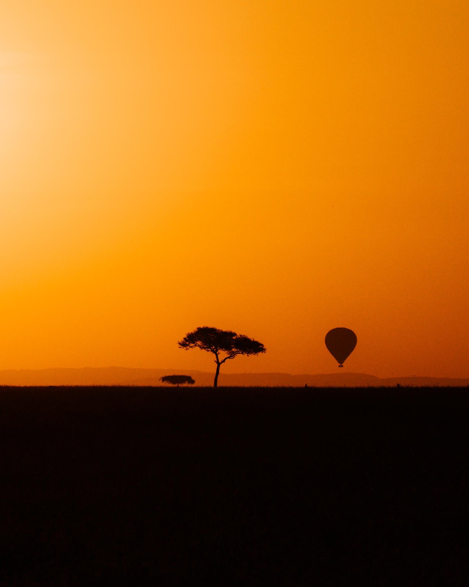Balloon Safari