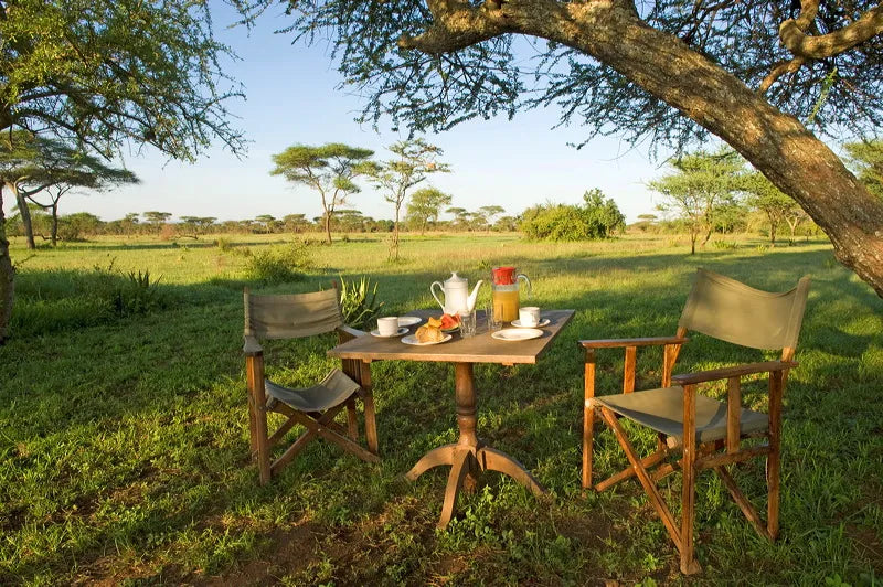 Ikoma Tented Camp, Ikoma, Tanzania gallery image 4.