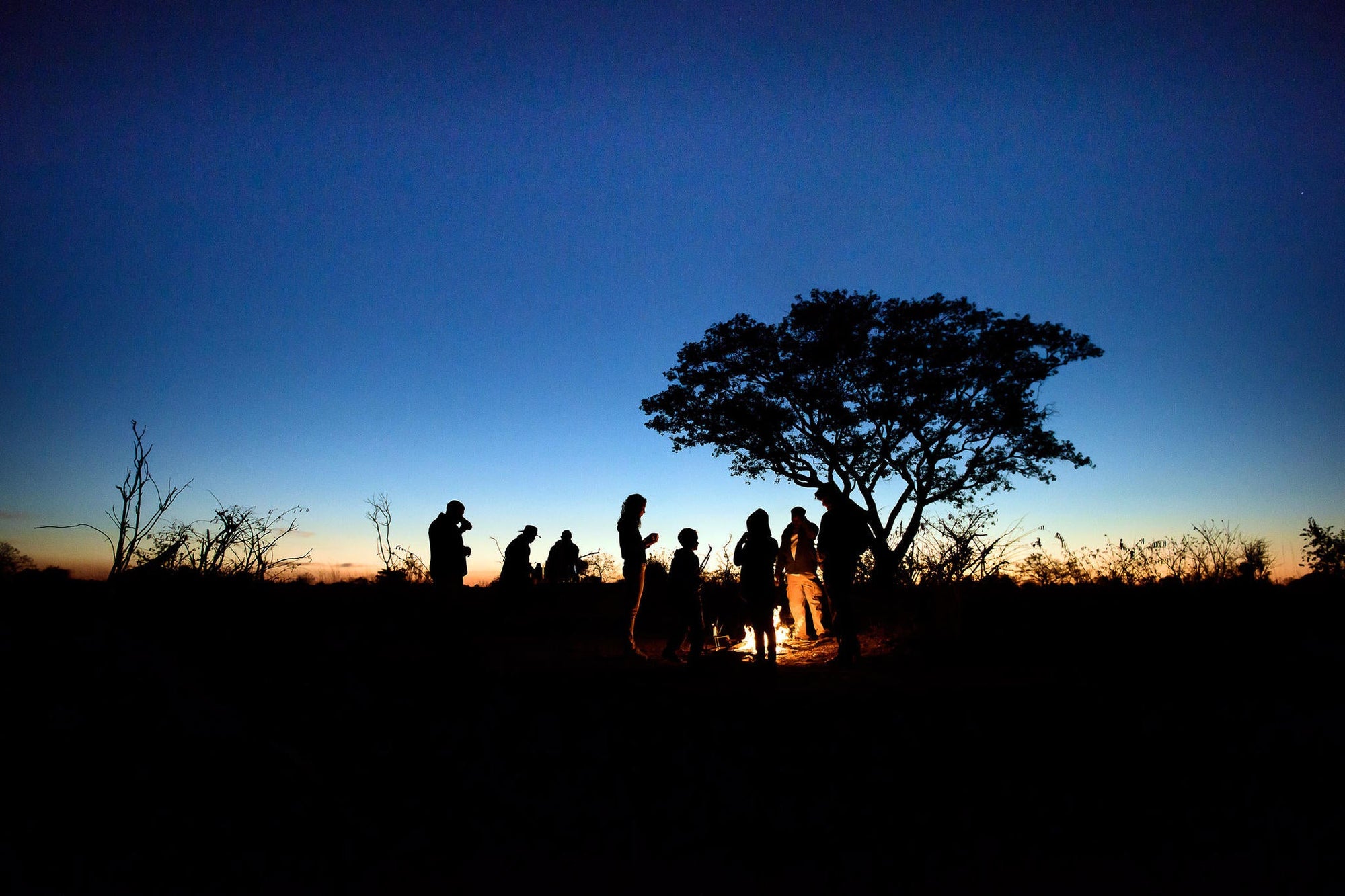 Walking Safaris gallery image 4