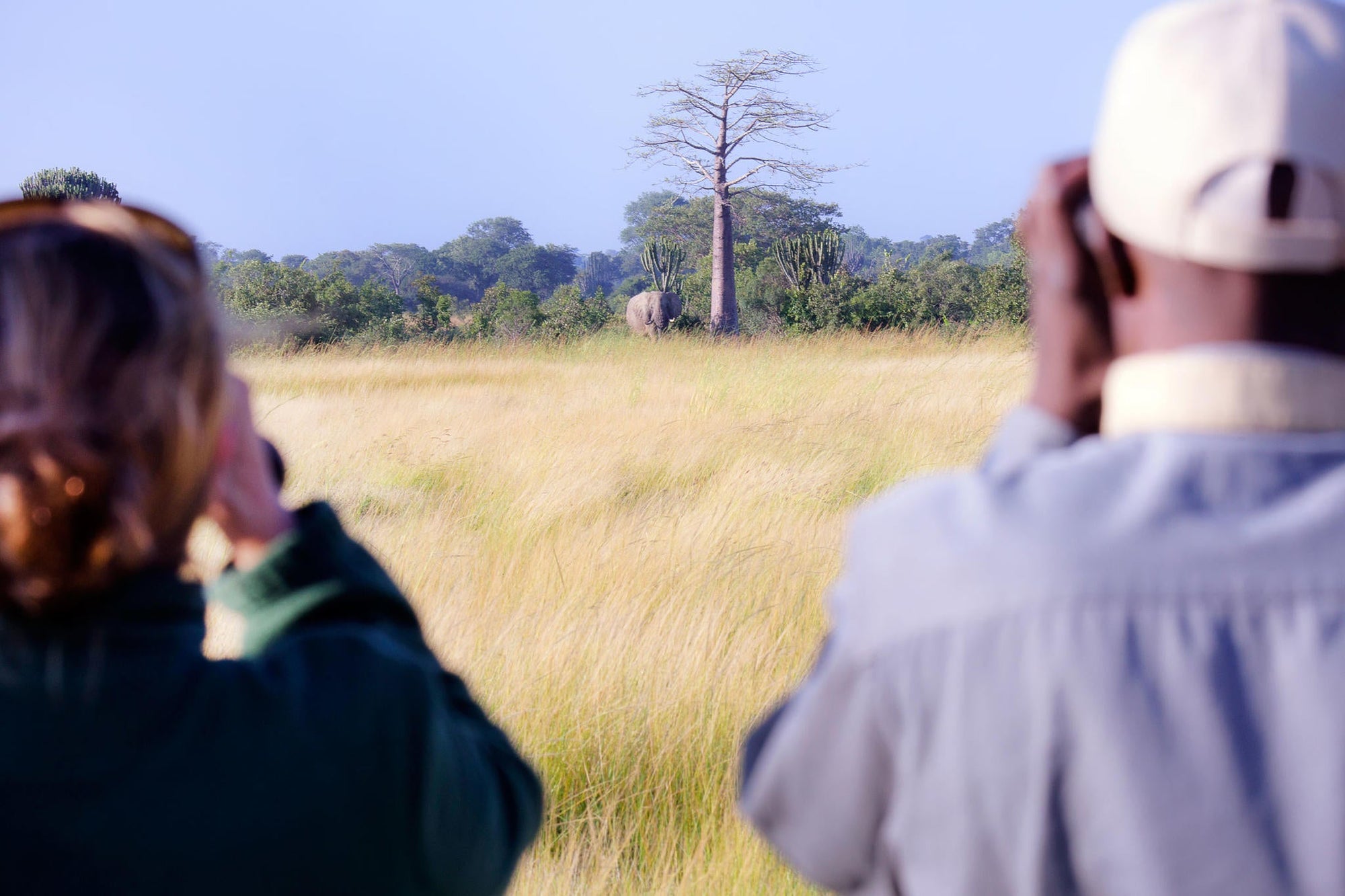 Walking Safaris gallery image 5