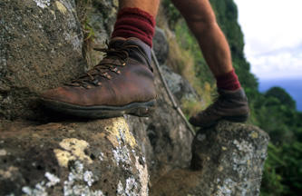 Walking gallery image 2