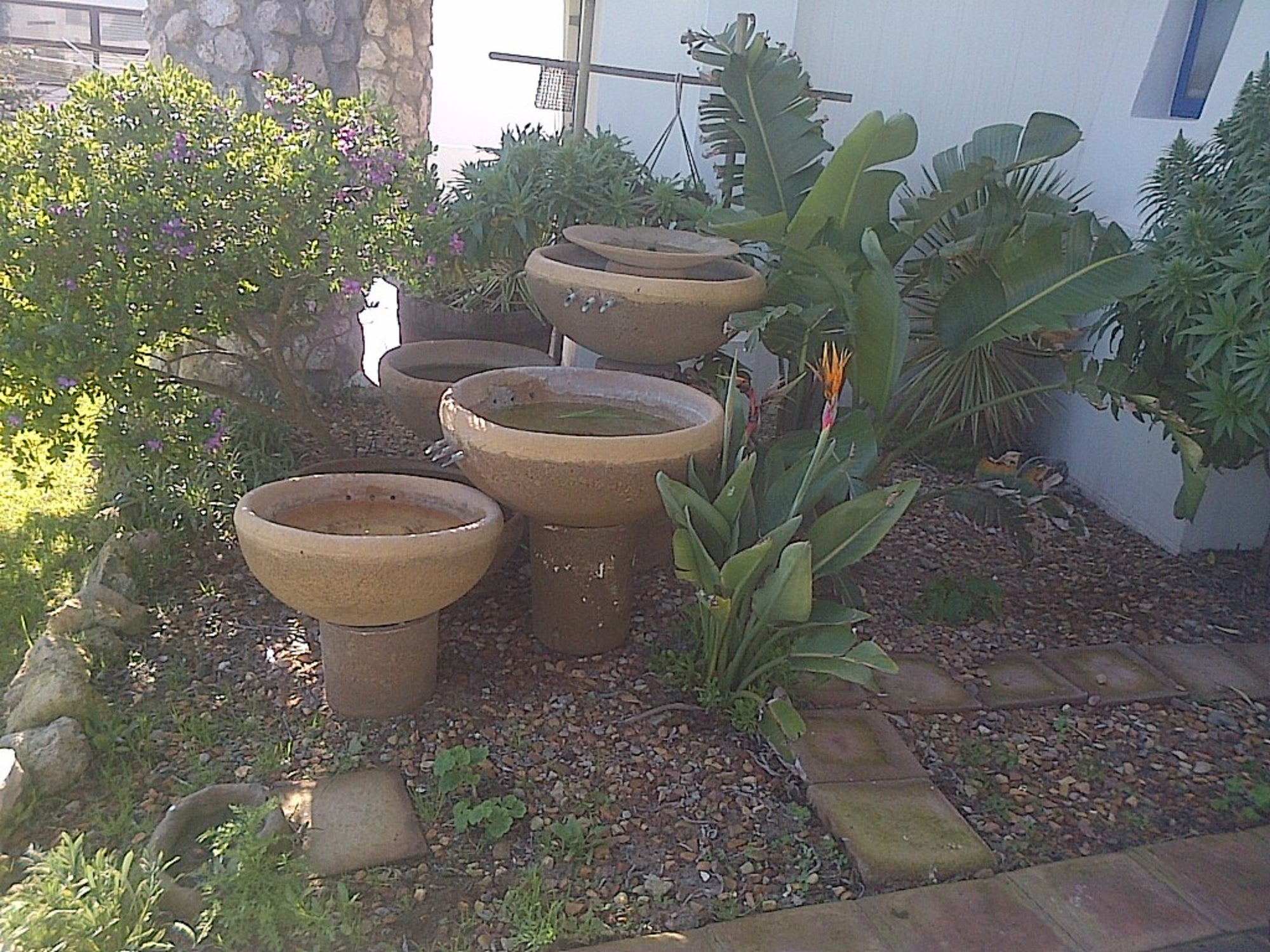 tranquility-apartment-langebaan-south-africa