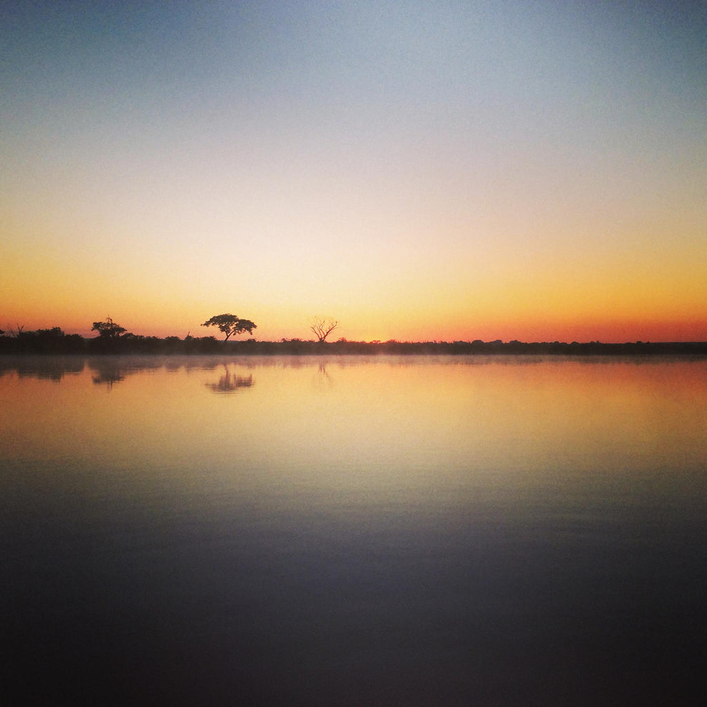 Morning or Afternoon River Safari gallery image 5