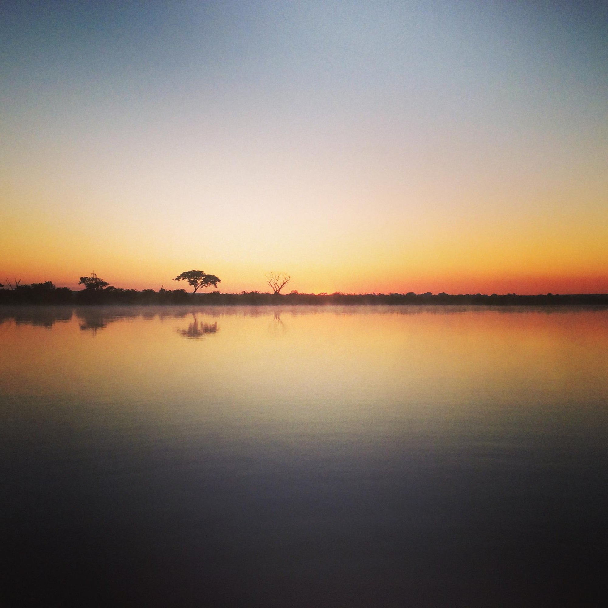 Morning or Afternoon River Safari gallery image 5