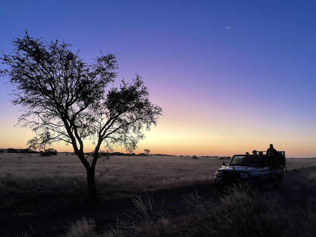 Morning or Sunset Drive gallery image 4