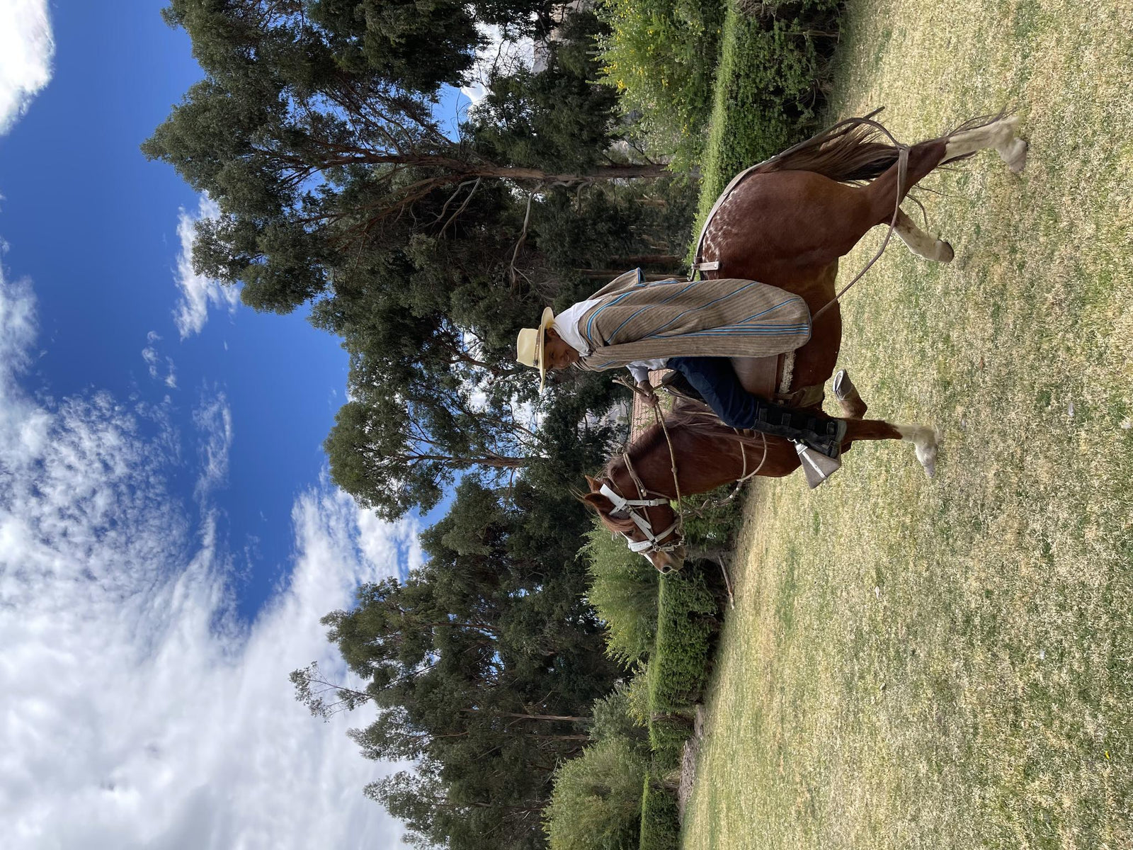 Photo Session with our star Peruvian Paso
