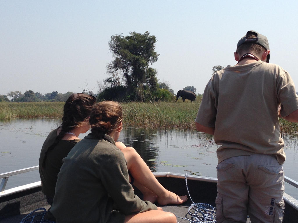 Boat safaris gallery image 12