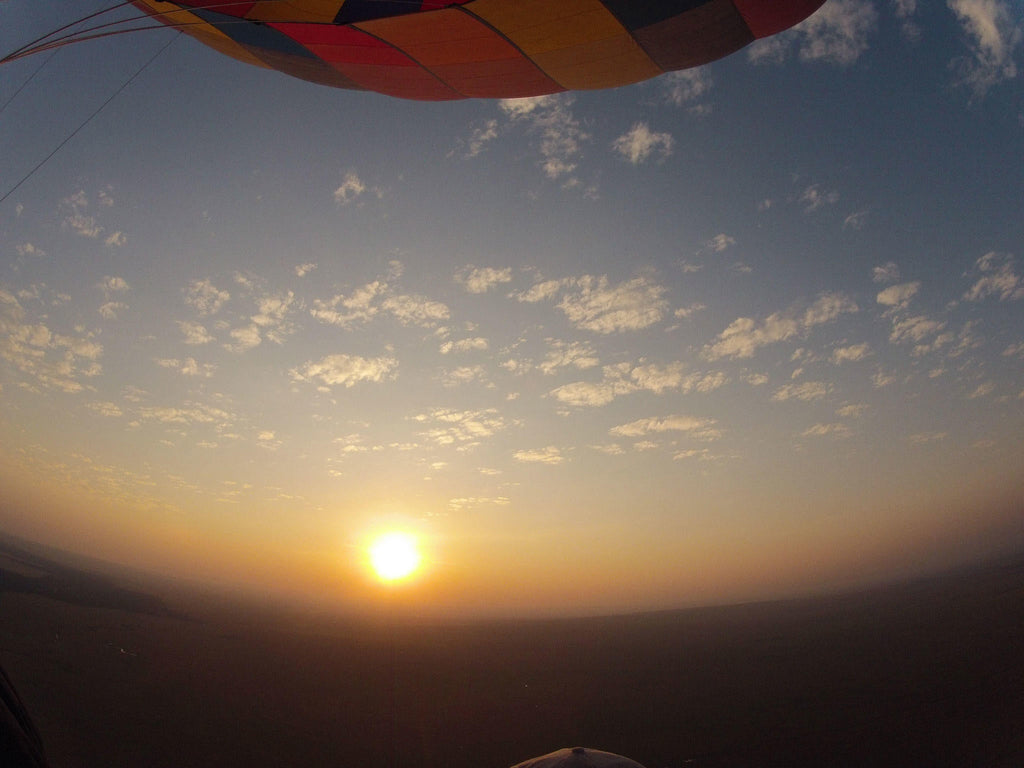 Balloon safari gallery image 14