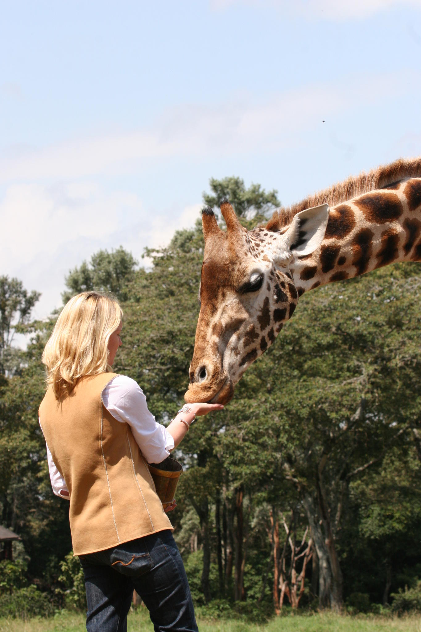 Visits to the Giraffe Centre