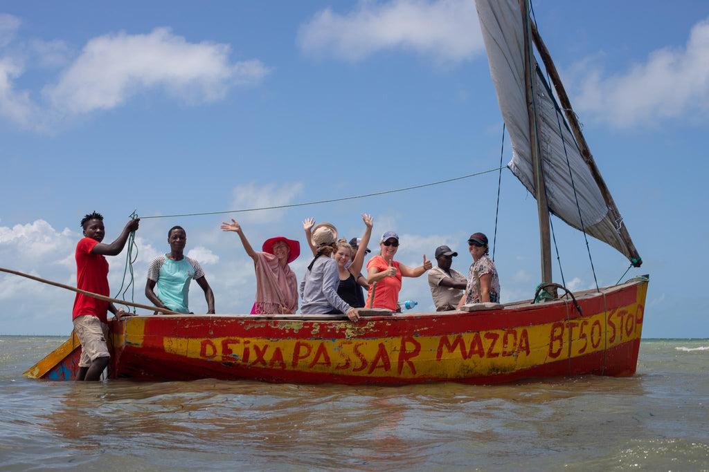 Sea Horse Safari gallery image 5