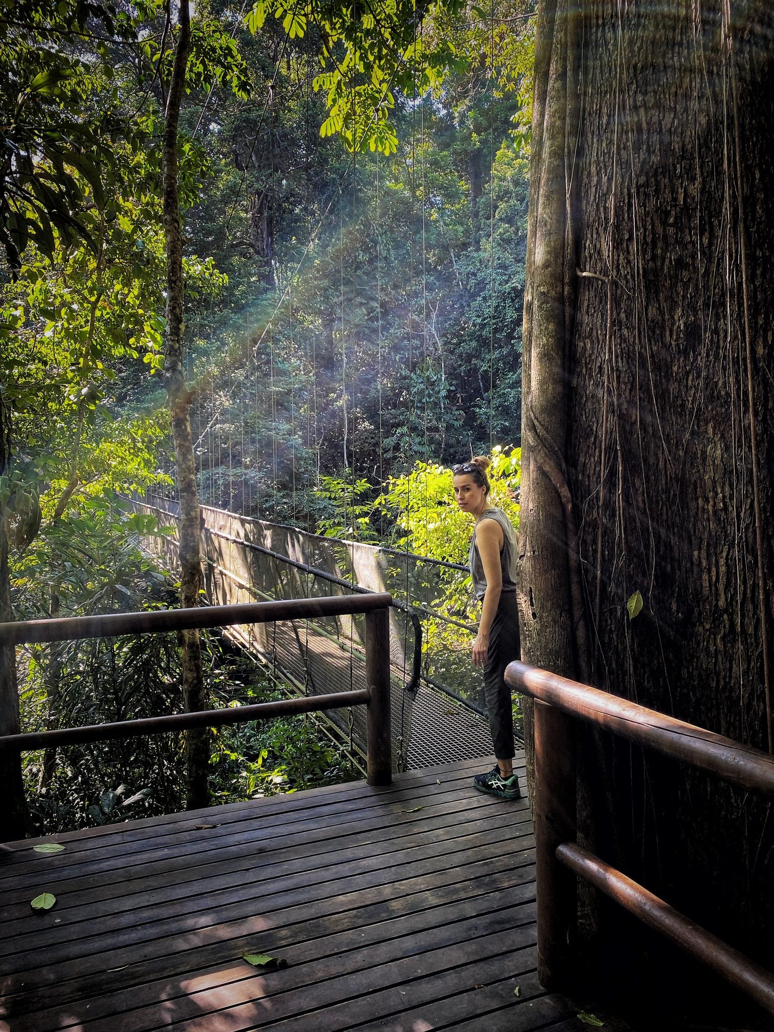 The Forest Hike - Included