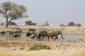 Etosha NP excursion gallery image 1