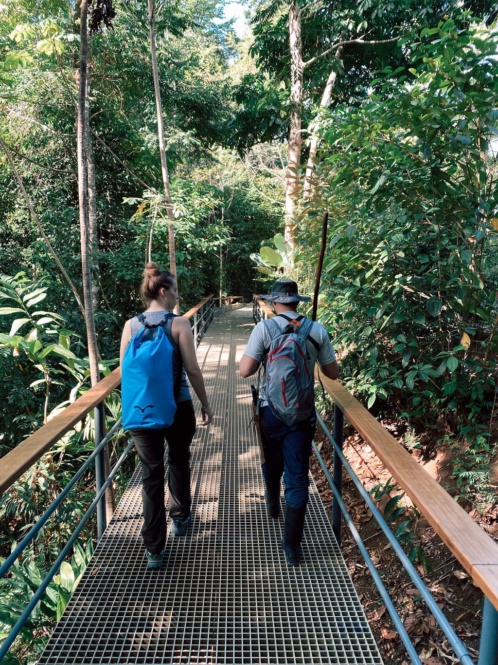 The Forest Hike - Included