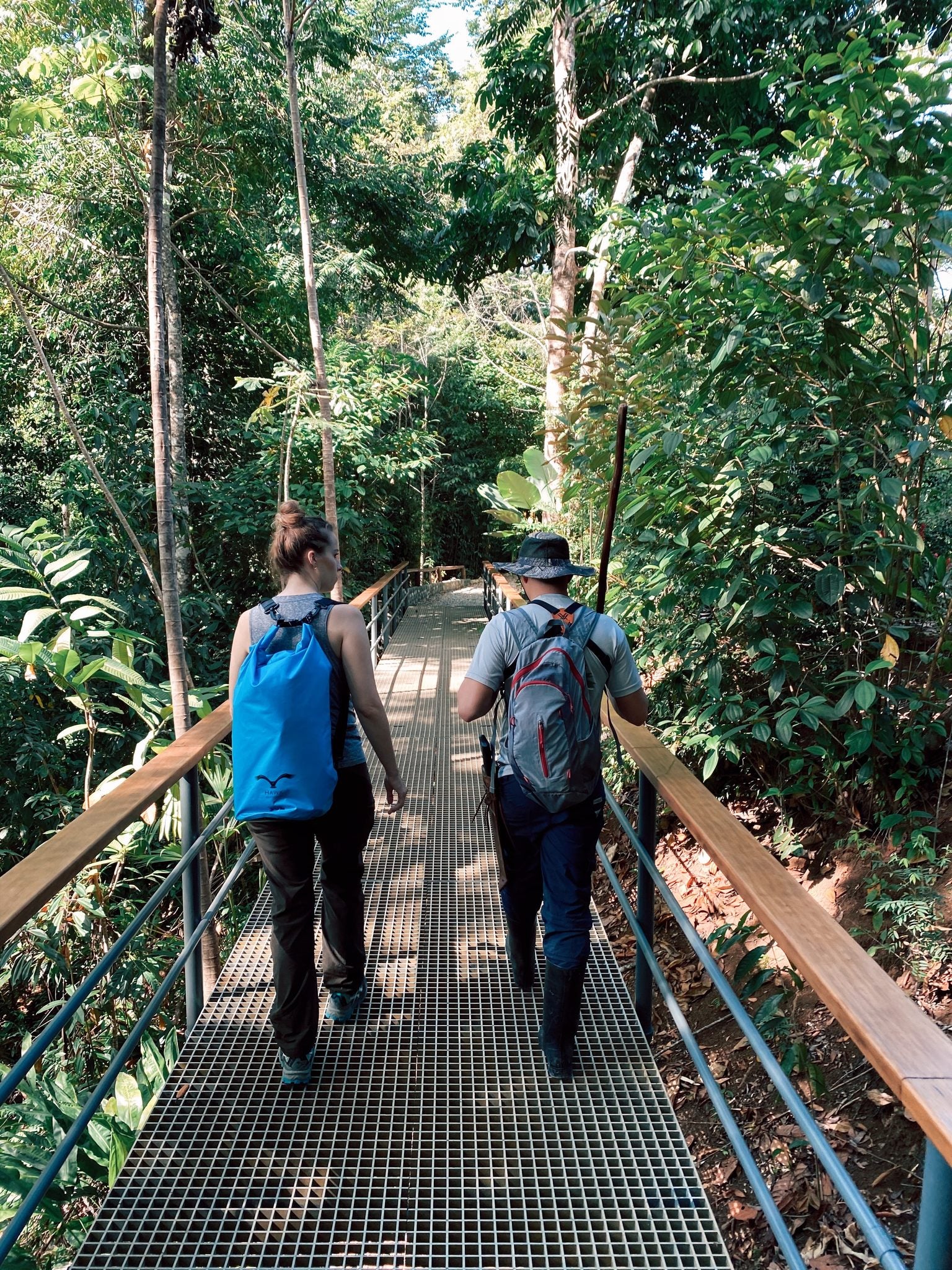The Forest Hike - Included