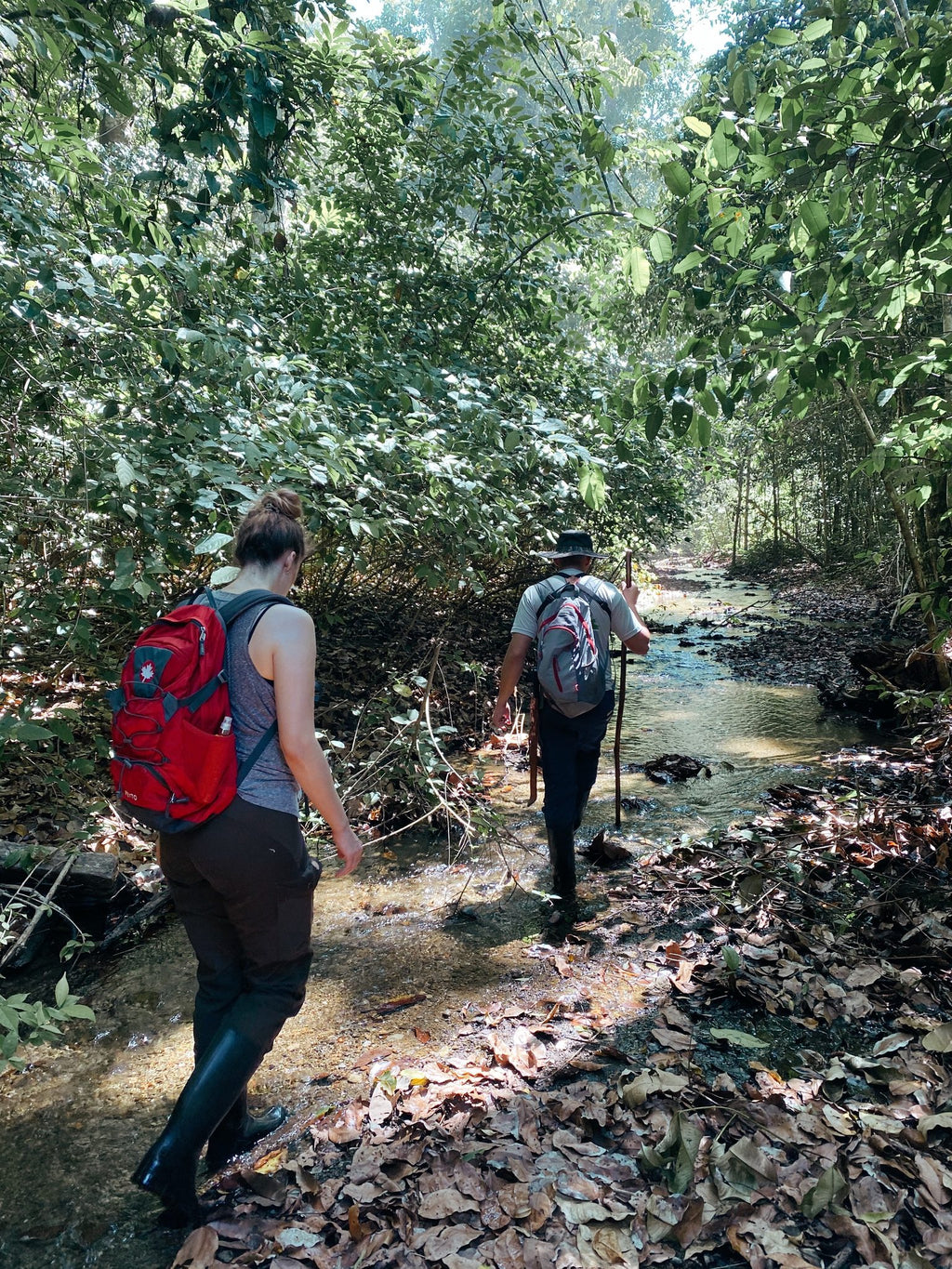 The Forest Hike - Included