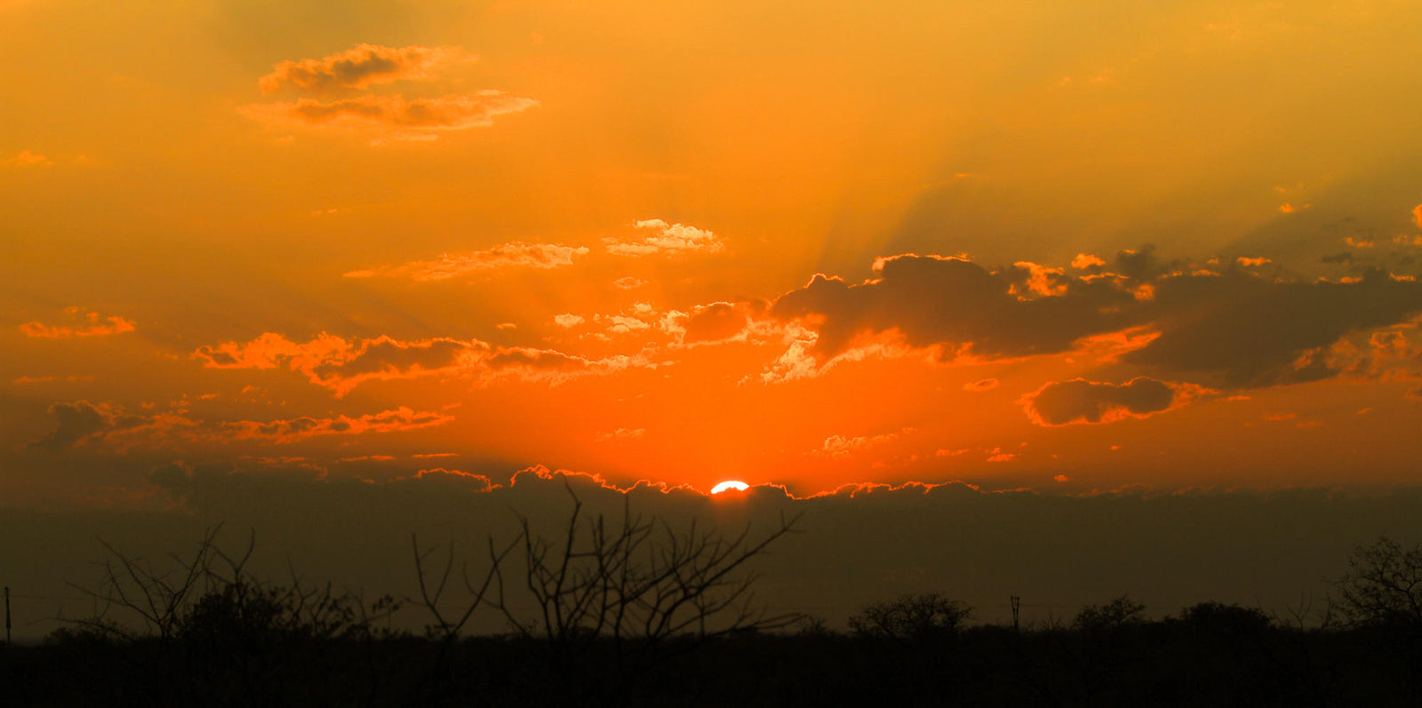 Sundowner Drive