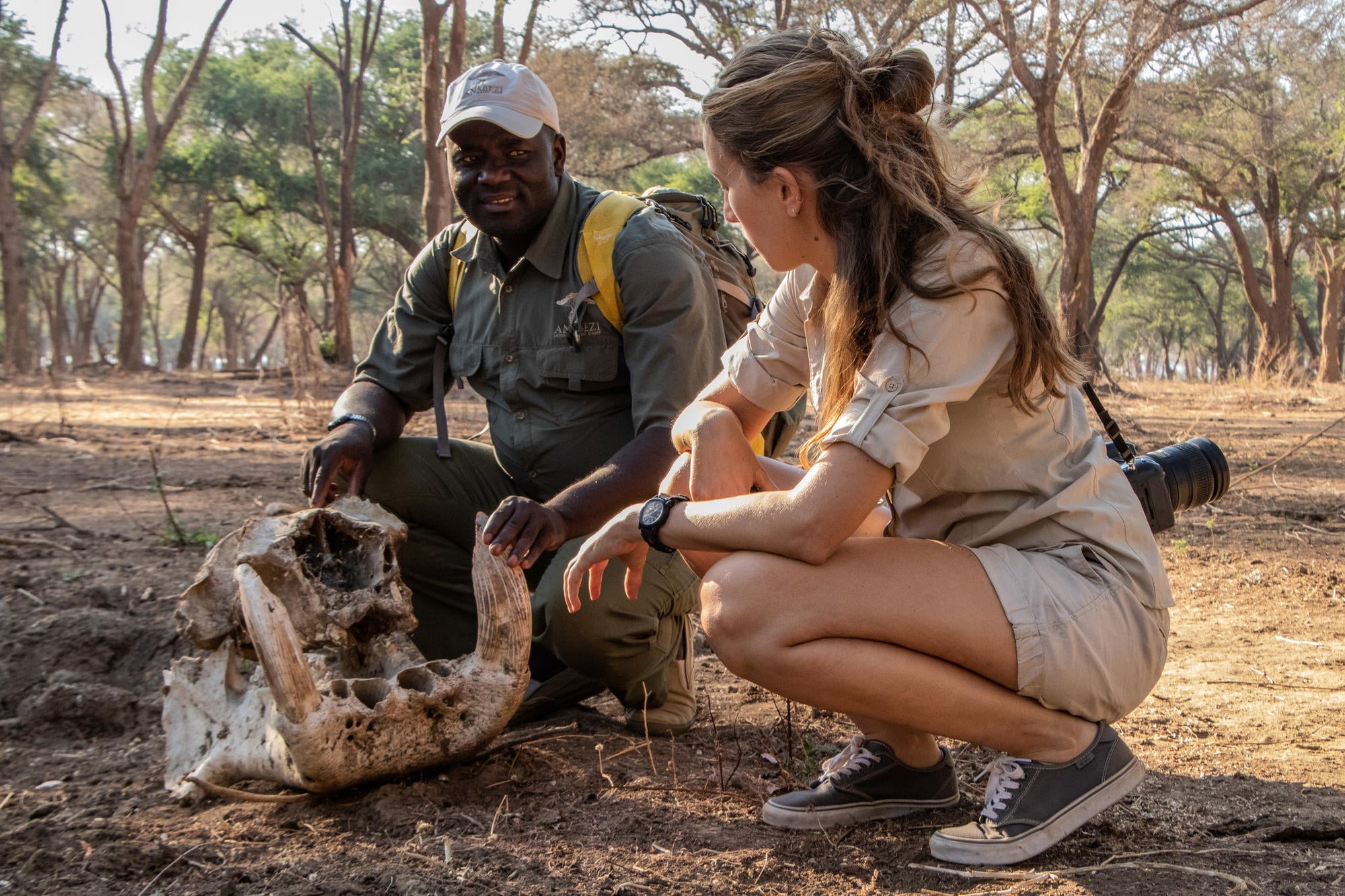 Walking Safaris gallery image 2