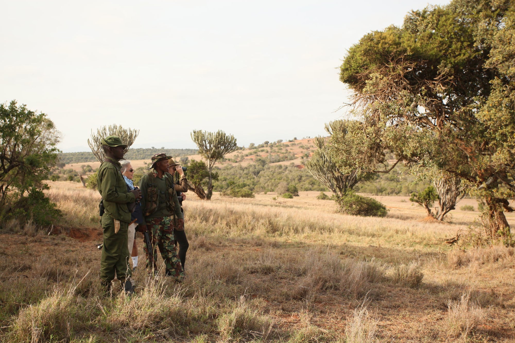 Rhino Tracking on Foot gallery image 3