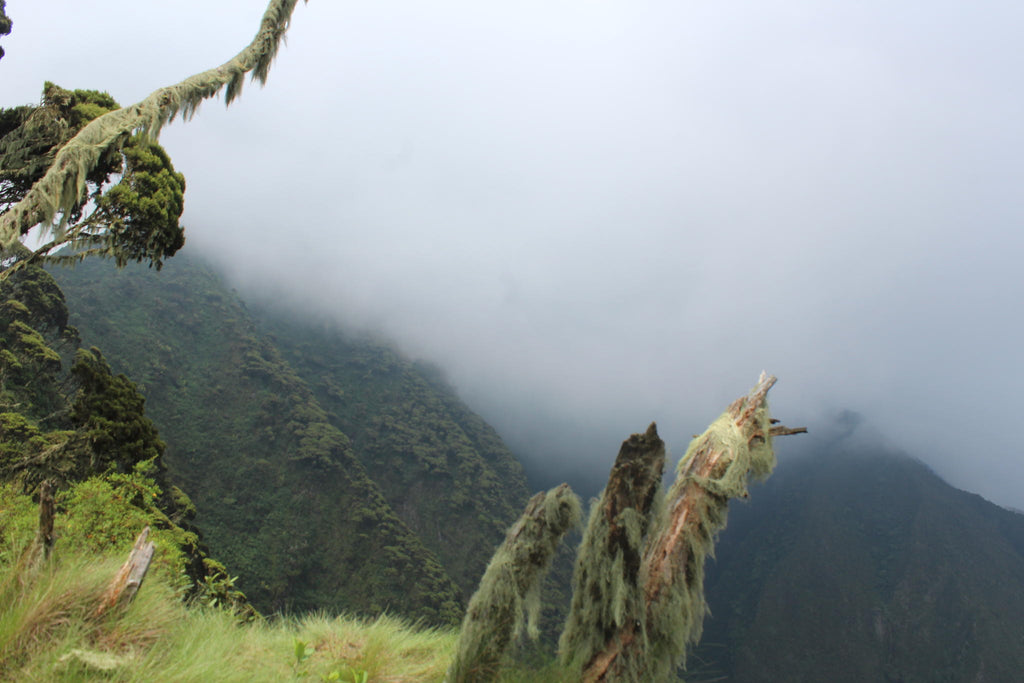 Hiking the Volcanoes  gallery image 3