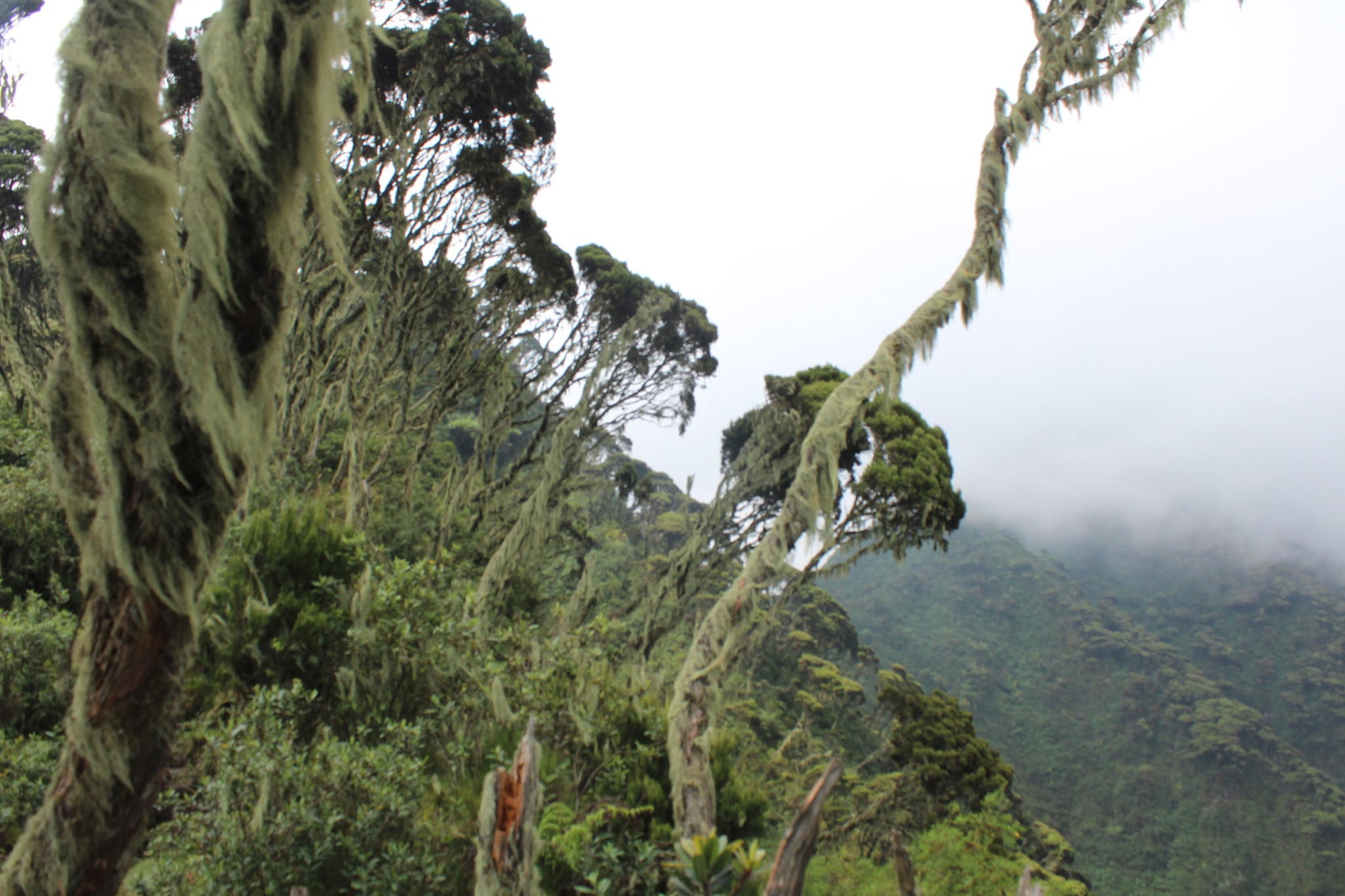 Hiking the Volcanoes  gallery image 2