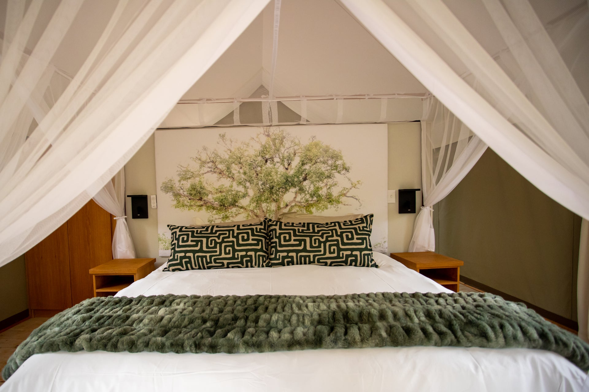 cape-vulture-nature-reserve
