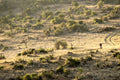 Mountain Biking gallery image 1