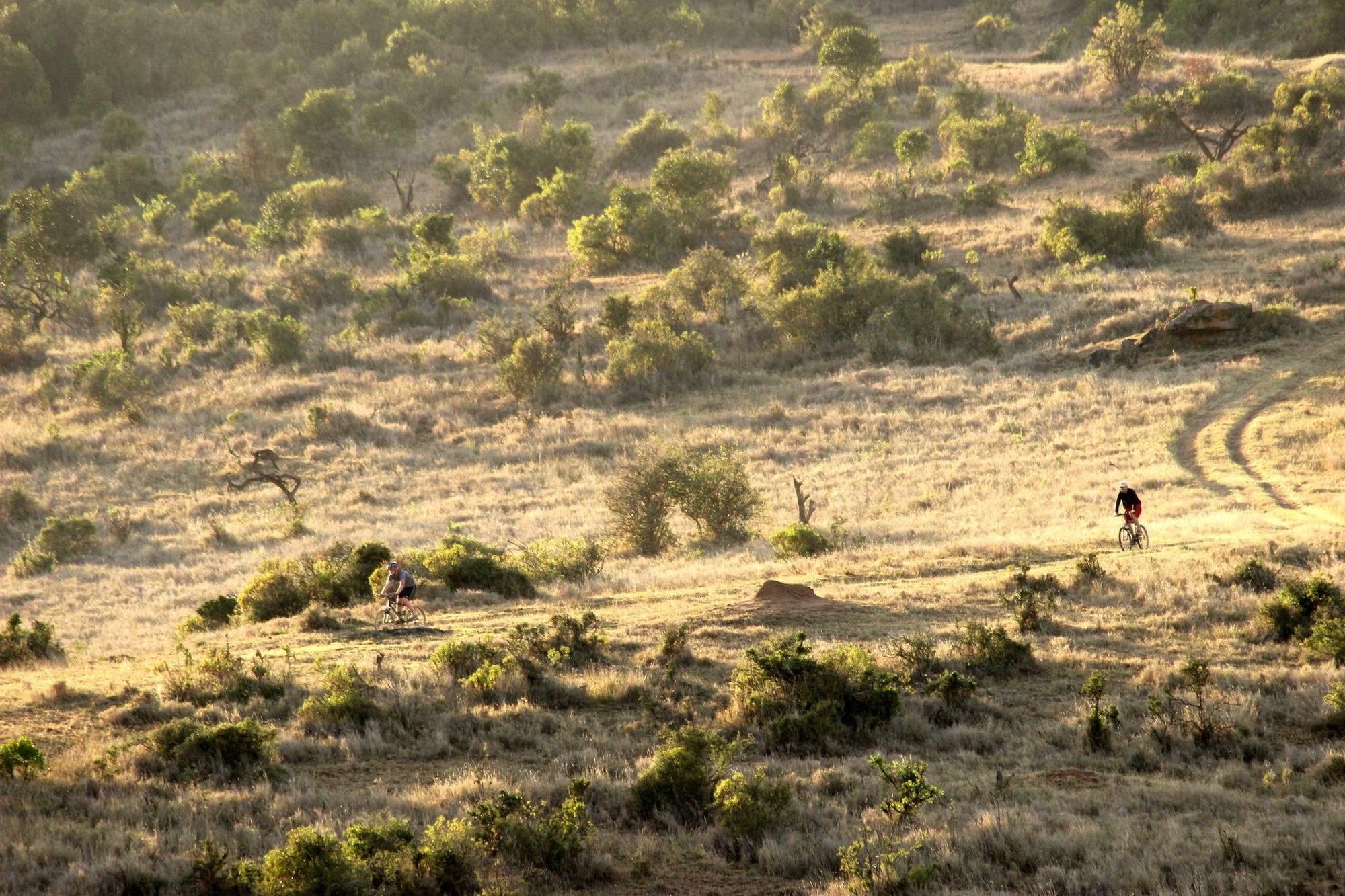 Mountain Biking gallery image 1