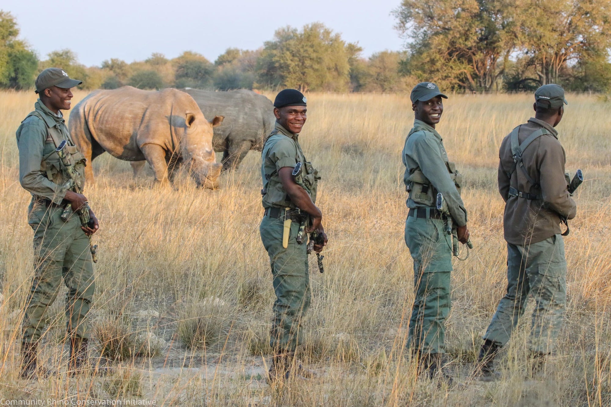 Walking with Rhino and a visit to the CRCI Imvelo Ngamo sanctuary gallery image 2