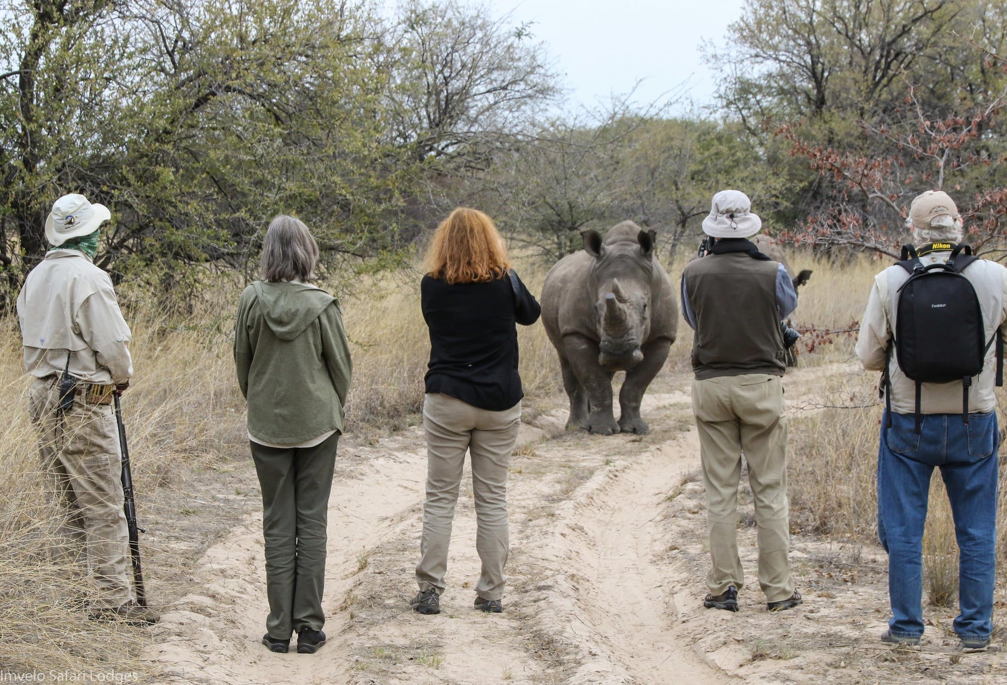 Walking with Rhino and a visit to the CRCI Imvelo Ngamo sanctuary gallery image 6