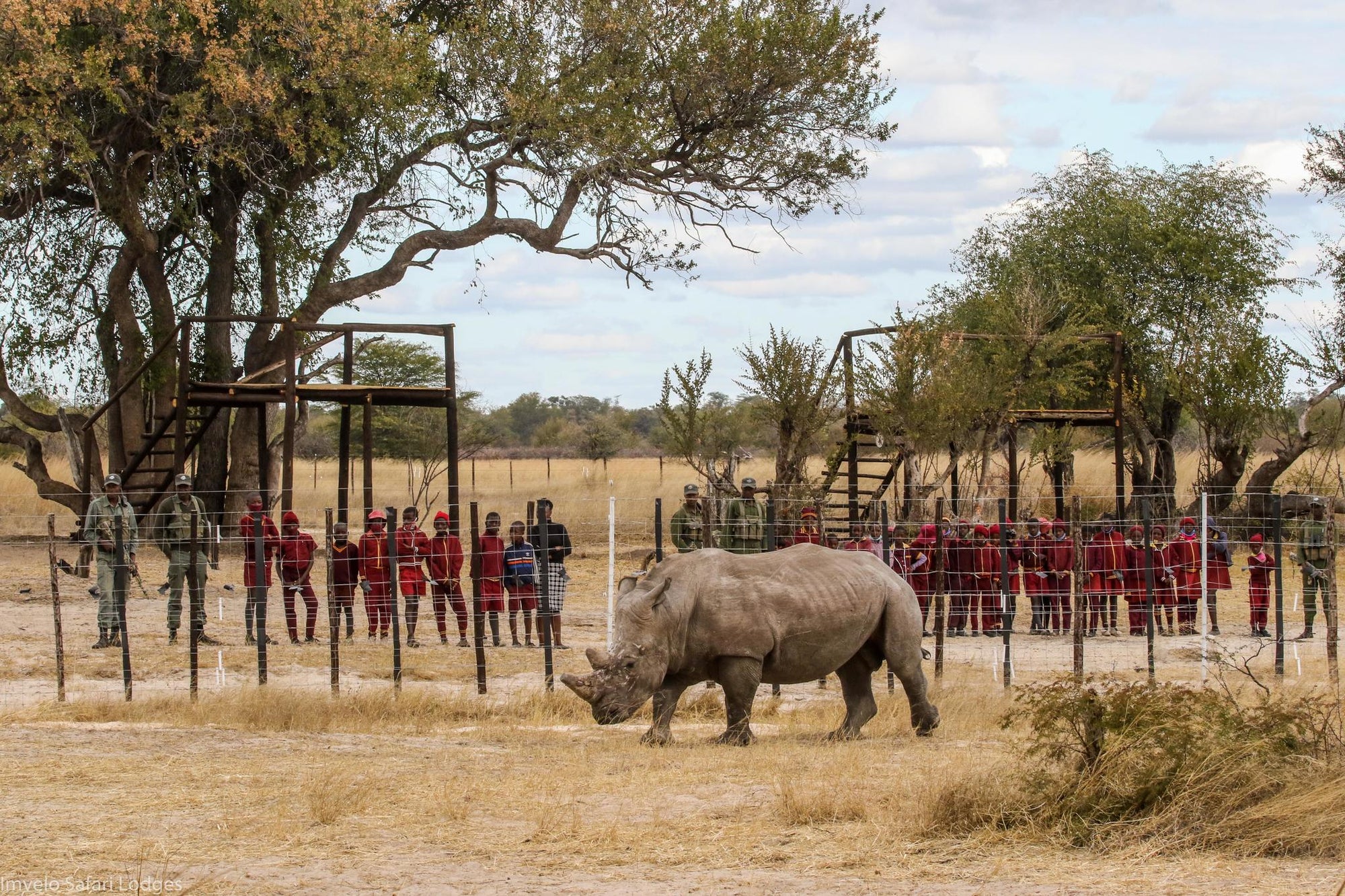 Walking with Rhino and a visit to the CRCI Imvelo Ngamo sanctuary gallery image 5