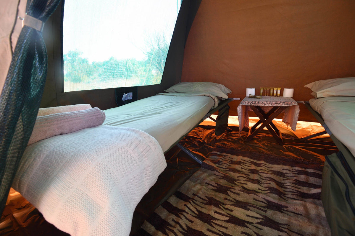Ivory Trail Adventure gallery image 5