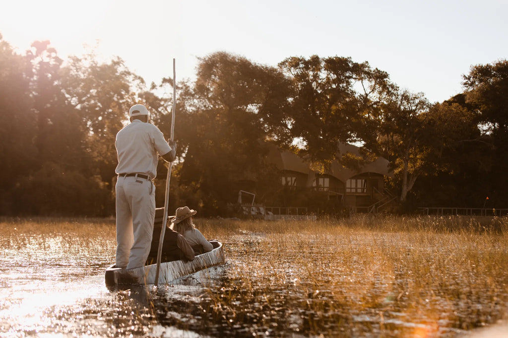 Wilderness Jacana at Jacana, Okavango Delta, Botswana.