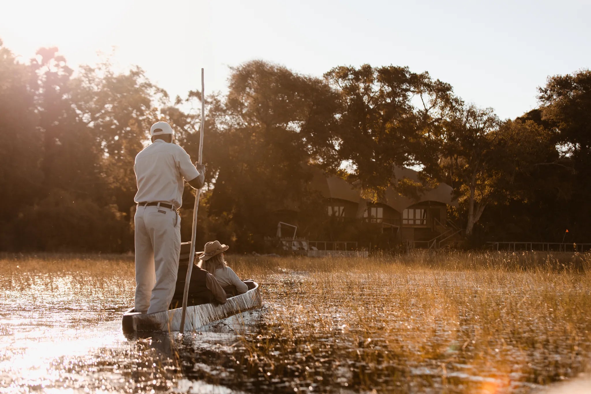 Wilderness Jacana at Jacana, Okavango Delta, Botswana.