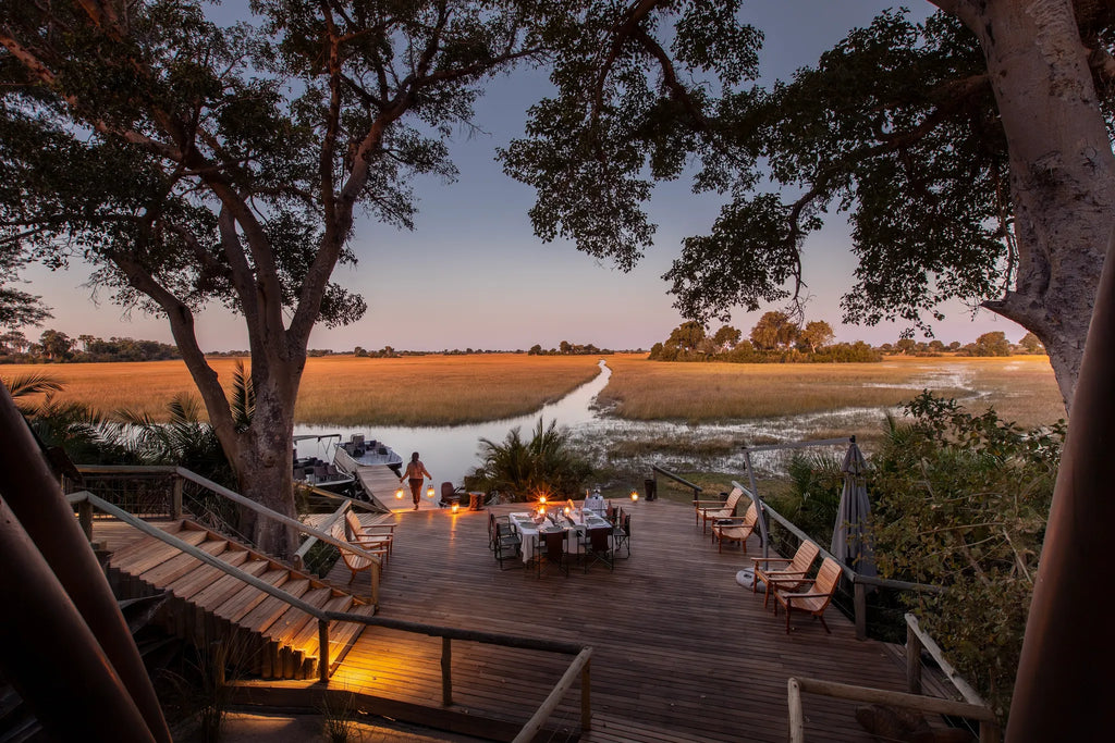 Wilderness Jacana at Jacana, Okavango Delta, Botswana.