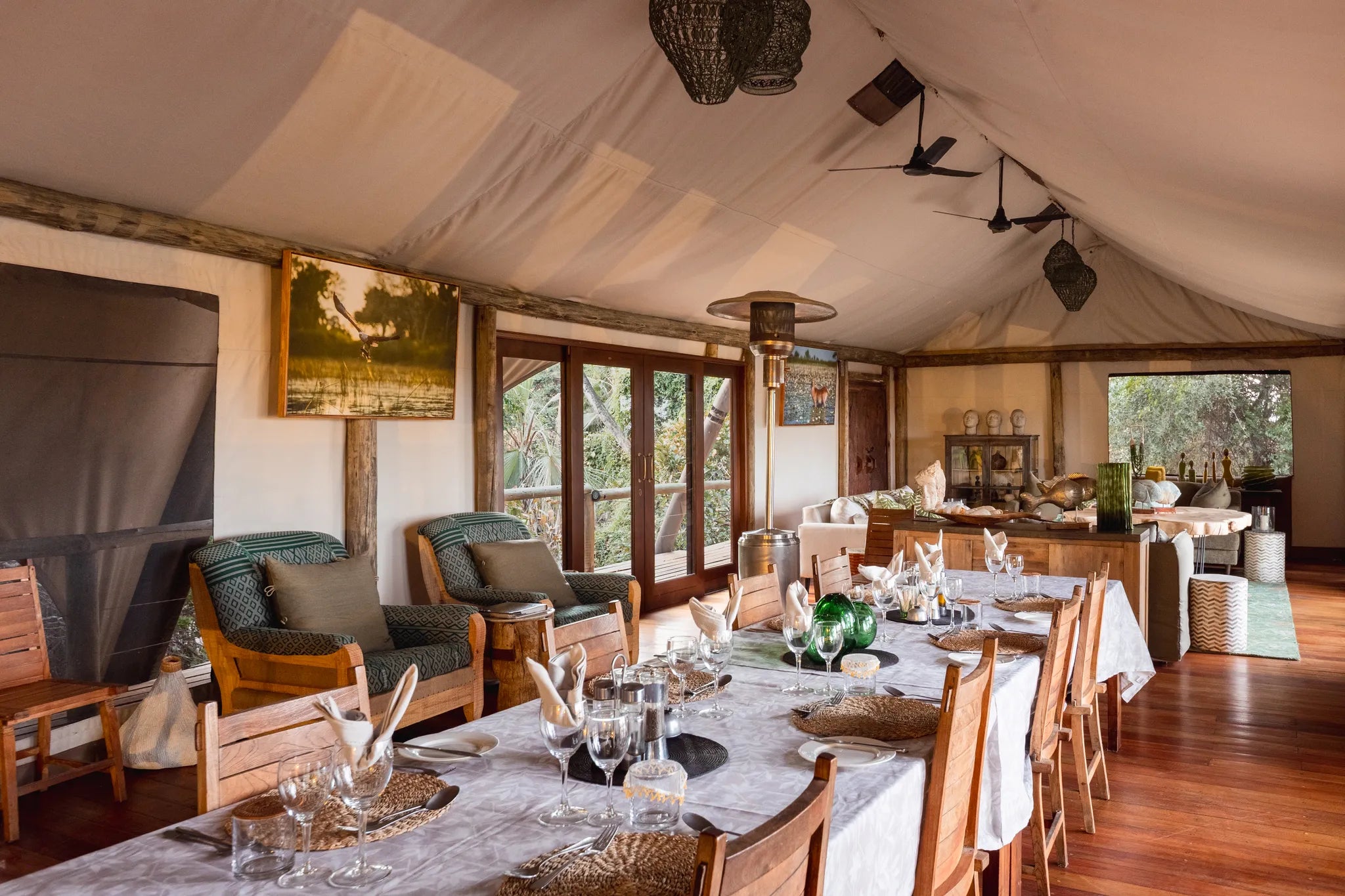 Wilderness Jacana at Jacana, Okavango Delta, Botswana.
