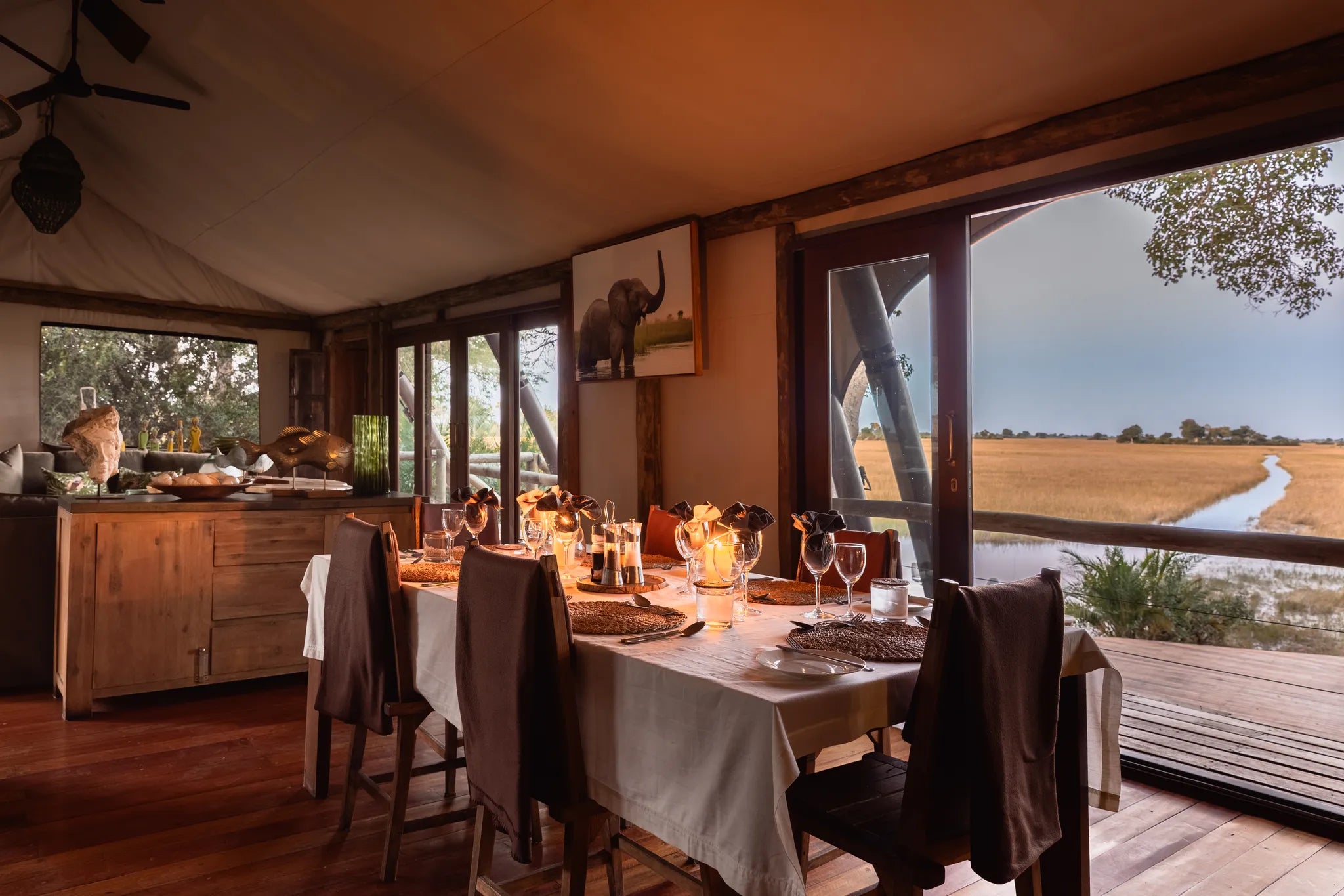 Wilderness Jacana at Jacana, Okavango Delta, Botswana.